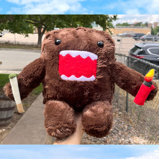 Domo Pal
